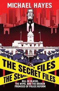 bokomslag The Secret Files