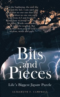 bokomslag Bits and Pieces