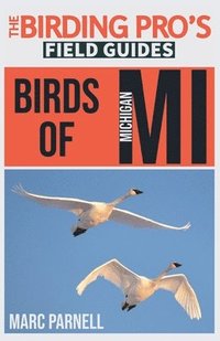 bokomslag Birds of Michigan (The Birding Pro's Field Guides)