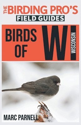 bokomslag Birds of Wisconsin (The Birding Pro's Field Guides)