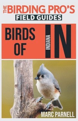 bokomslag Birds of Indiana (The Birding Pro's Field Guides)