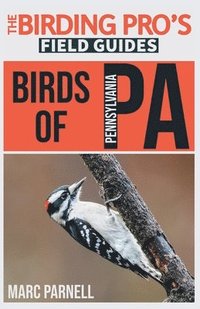 bokomslag Birds of Pennsylvania (The Birding Pro's Field Guides)