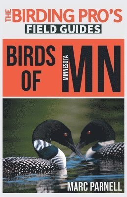 bokomslag Birds of Minnesota (The Birding Pro's Field Guides)