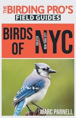 bokomslag Birds of Greater New York City (The Birding Pro's Field Guides)