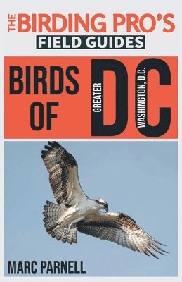 bokomslag Birds of Greater Washington, D.C. (The Birding Pro's Field Guides)