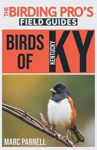 bokomslag Birds of Kentucky (The Birding Pro's Field Guides)