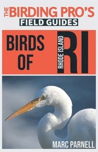 bokomslag Birds of Rhode Island (The Birding Pro's Field Guides)