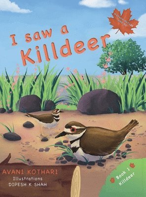 bokomslag I saw a Killdeer