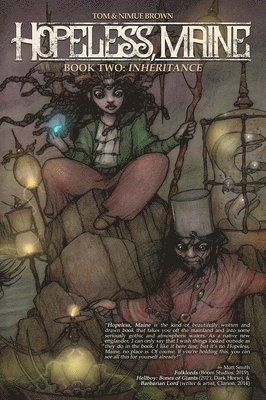 bokomslag Hopeless, Maine