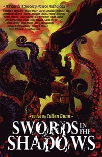 bokomslag Swords in the Shadows