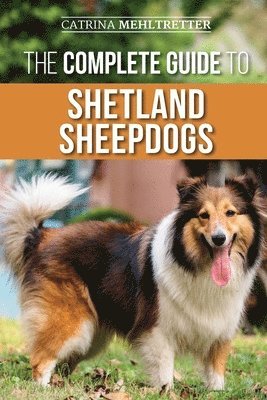 bokomslag The Complete Guide to Shetland Sheepdogs