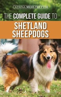 bokomslag The Complete Guide to Shetland Sheepdogs