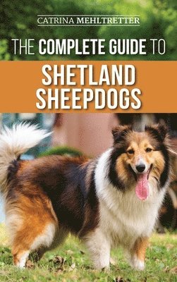 The Complete Guide to Shetland Sheepdogs 1