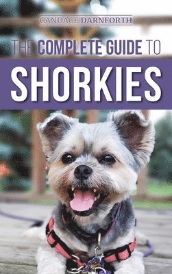Complete Guide to Shorkies