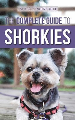 The Complete Guide to Shorkies 1