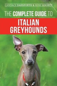 bokomslag The Complete Guide to Italian Greyhounds
