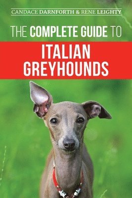 The Complete Guide to Italian Greyhounds 1