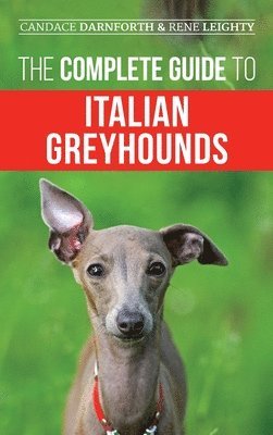 bokomslag The Complete Guide to Italian Greyhounds