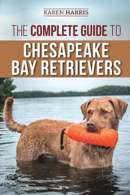 bokomslag The Complete Guide to Chesapeake Bay Retrievers