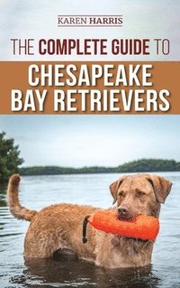 bokomslag The Complete Guide to Chesapeake Bay Retrievers