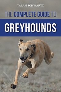 bokomslag The Complete Guide to Greyhounds