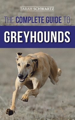 bokomslag The Complete Guide to Greyhounds