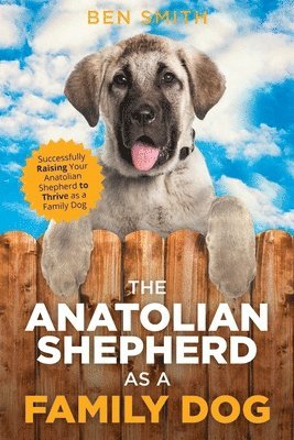 bokomslag Anatolian Shepherd as a Family Dog