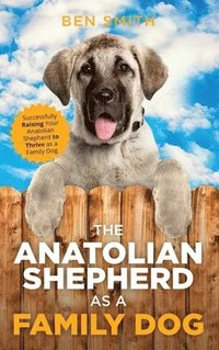 bokomslag Anatolian Shepherd as a Family Dog
