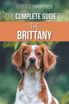 The Complete Guide to the Brittany 1