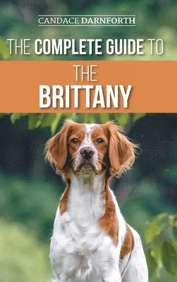 Complete Guide to the Brittany