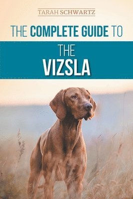 The Complete Guide to the Vizsla 1