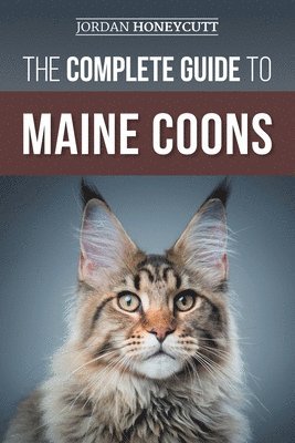 bokomslag Complete Guide to Maine Coons