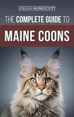 bokomslag Complete Guide to Maine Coons