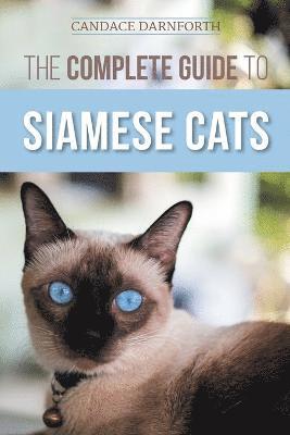 bokomslag The Complete Guide to Siamese Cats