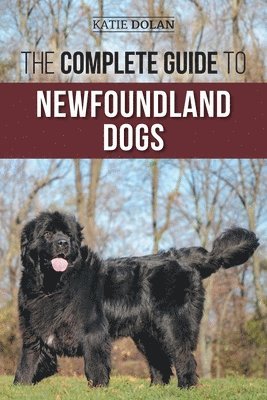 The Complete Guide to Newfoundland Dogs 1