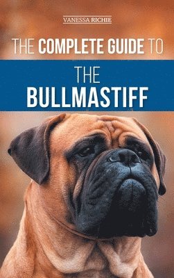bokomslag The Complete Guide to the Bullmastiff