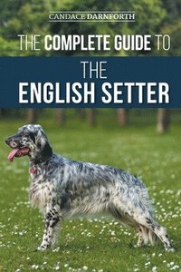 bokomslag The Complete Guide to the English Setter