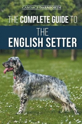 bokomslag The Complete Guide to the English Setter