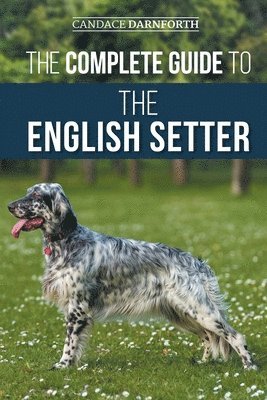 Complete Guide to the English Setter
