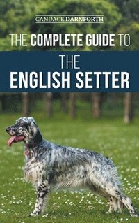 bokomslag The Complete Guide to the English Setter