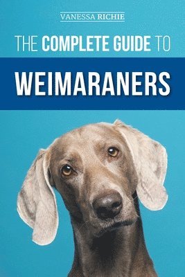 The Complete Guide to Weimaraners 1