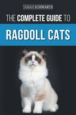 The Complete Guide to Ragdoll Cats 1