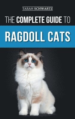 The Complete Guide to Ragdoll Cats 1