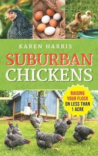 bokomslag Suburban Chickens