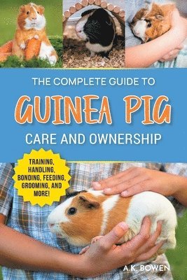 The Complete Guide to Guinea Pig Care and Ownership 1