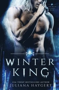 bokomslag Winter King