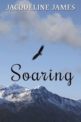 bokomslag Soaring