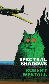 bokomslag Spectral Shadows