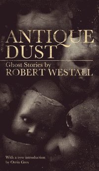 bokomslag Antique Dust