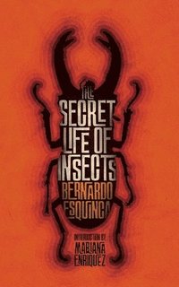 bokomslag The Secret Life of Insects and Other Stories